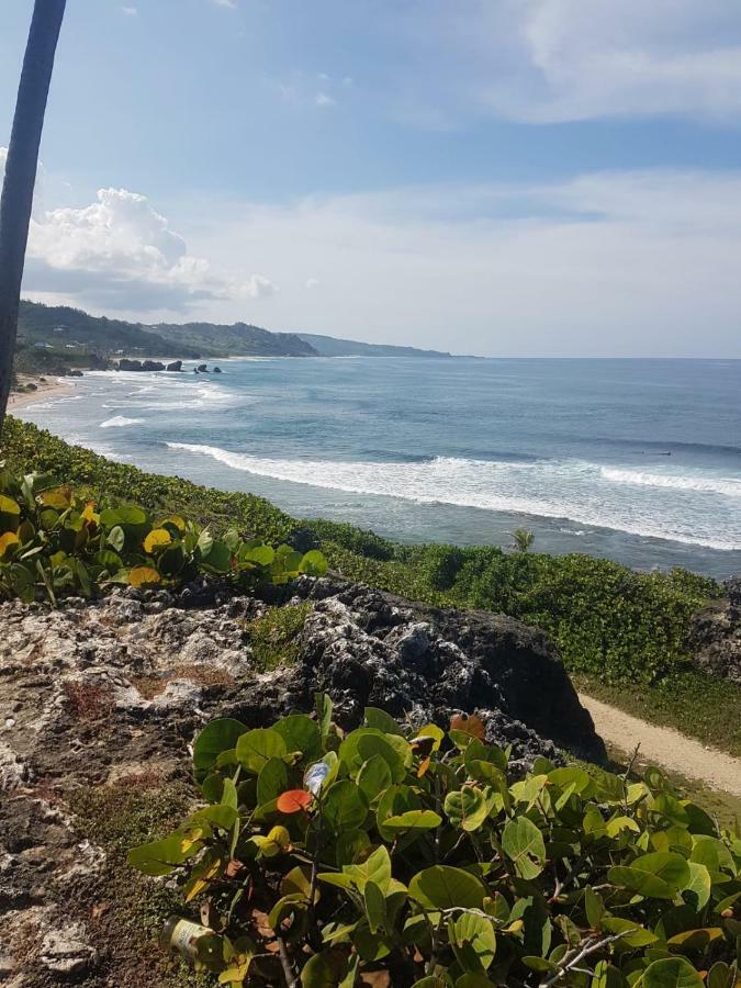 Breezy Apts Saint Philip Dış mekan fotoğraf